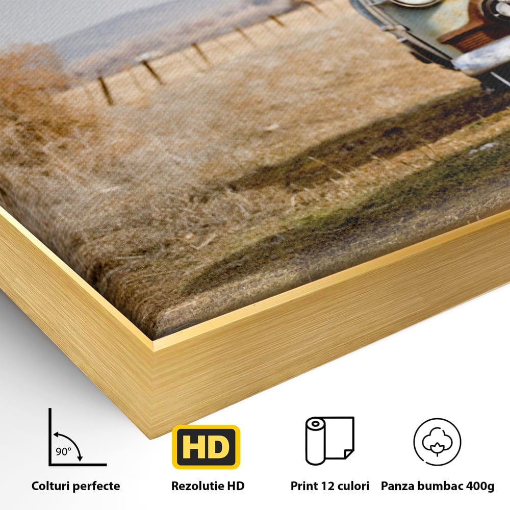 Tablou Canvas Premium LuxCanva® C1049, Old Cars ,  Culori, Backyard, Old Cars, Living Room, Bedroom, Relaxare, Culori Vibrante