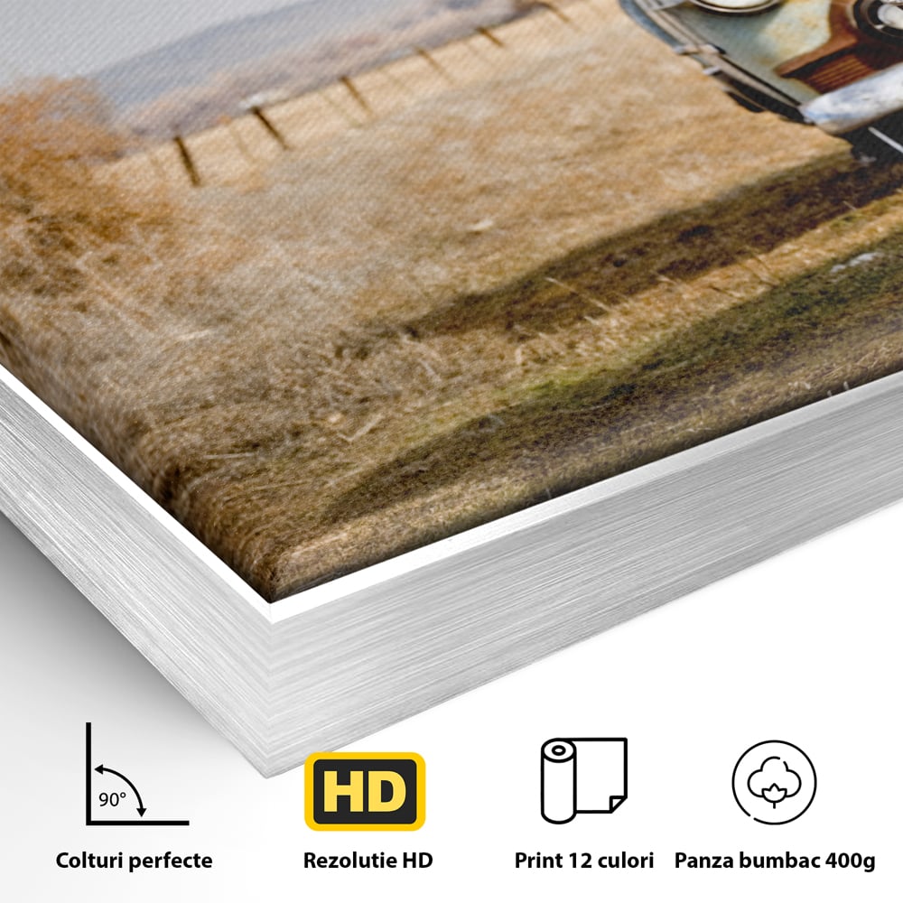 Tablou Canvas Premium LuxCanva® C1049, Old Cars ,  Culori, Backyard, Old Cars, Living Room, Bedroom, Relaxare, Culori Vibrante