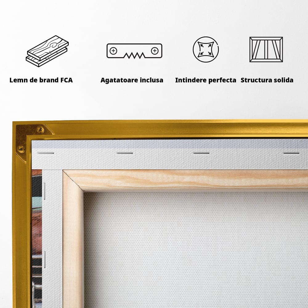 Tablou Canvas Premium LuxCanva® C1049, Old Cars ,  Culori, Backyard, Old Cars, Living Room, Bedroom, Relaxare, Culori Vibrante