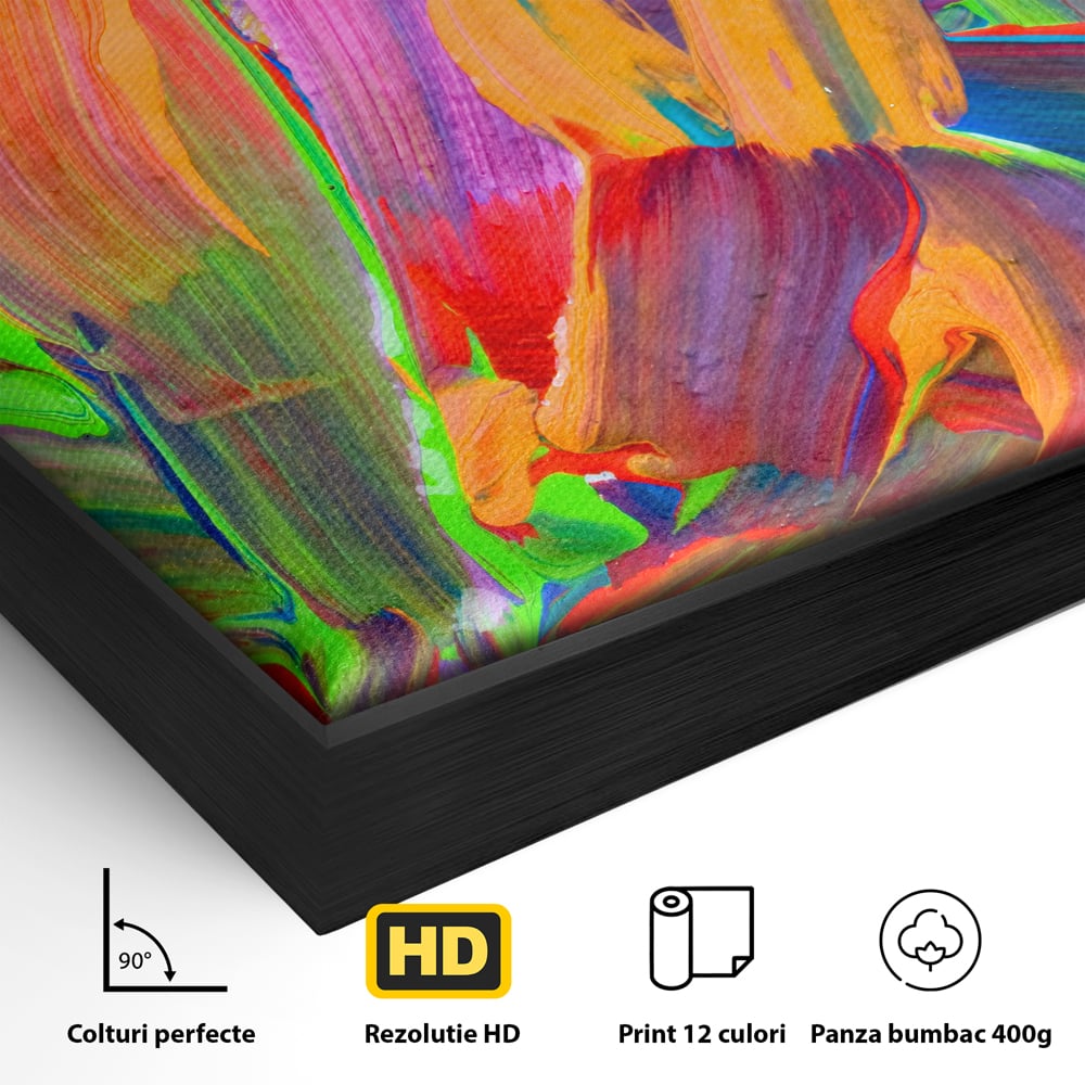 Tablou Canvas Premium LuxCanva® C1057, Abstract , Abstract, Camera Copilului, Living Room, Relaxare, Culori Vibrante