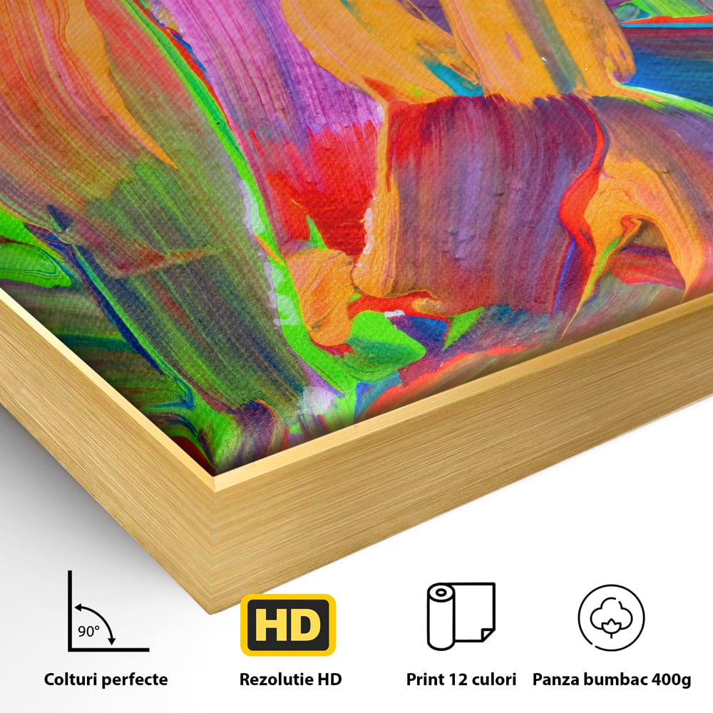 Tablou Canvas Premium LuxCanva® C1057, Abstract , Abstract, Camera Copilului, Living Room, Relaxare, Culori Vibrante