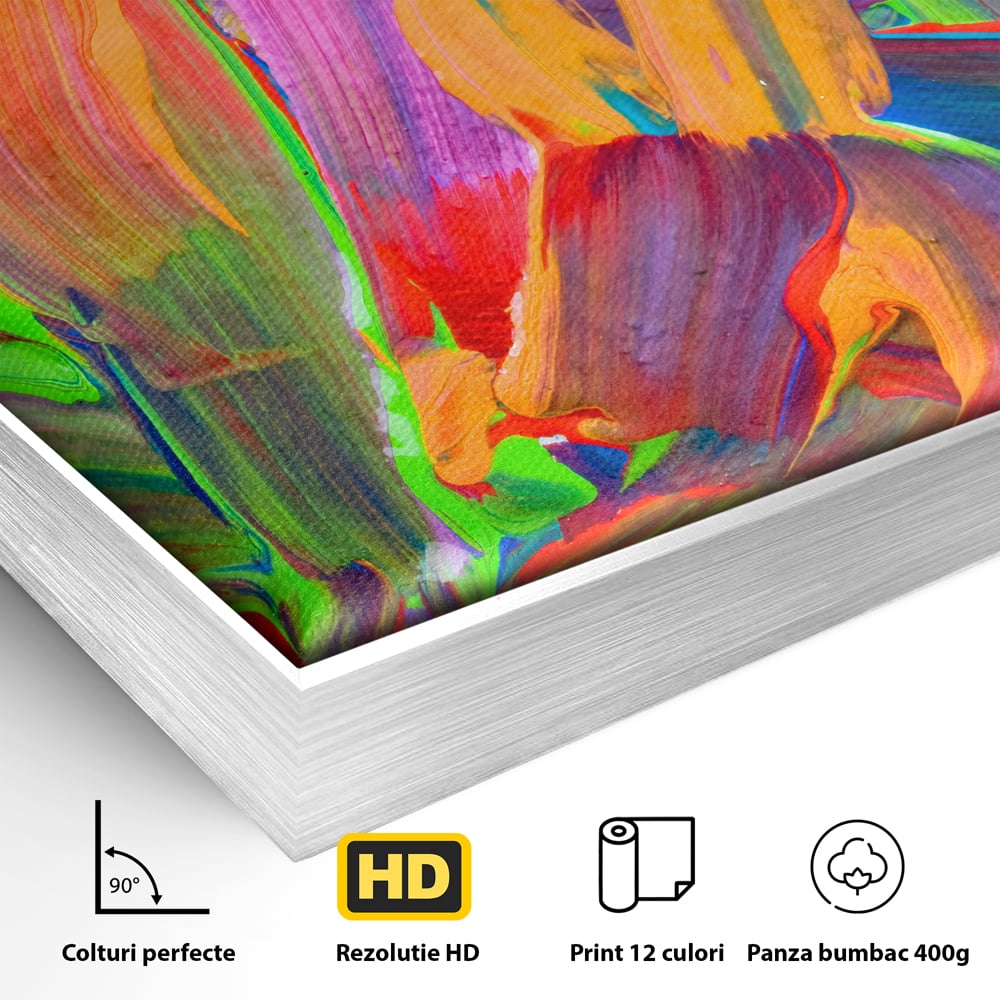 Tablou Canvas Premium LuxCanva® C1057, Abstract , Abstract, Camera Copilului, Living Room, Relaxare, Culori Vibrante