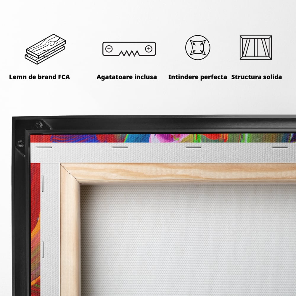 Tablou Canvas Premium LuxCanva® C1057, Abstract , Abstract, Camera Copilului, Living Room, Relaxare, Culori Vibrante