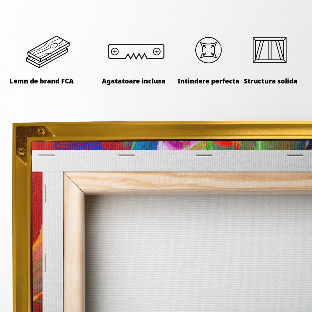 Tablou Canvas Premium LuxCanva® C1057, Abstract , Abstract, Camera Copilului, Living Room, Relaxare, Culori Vibrante