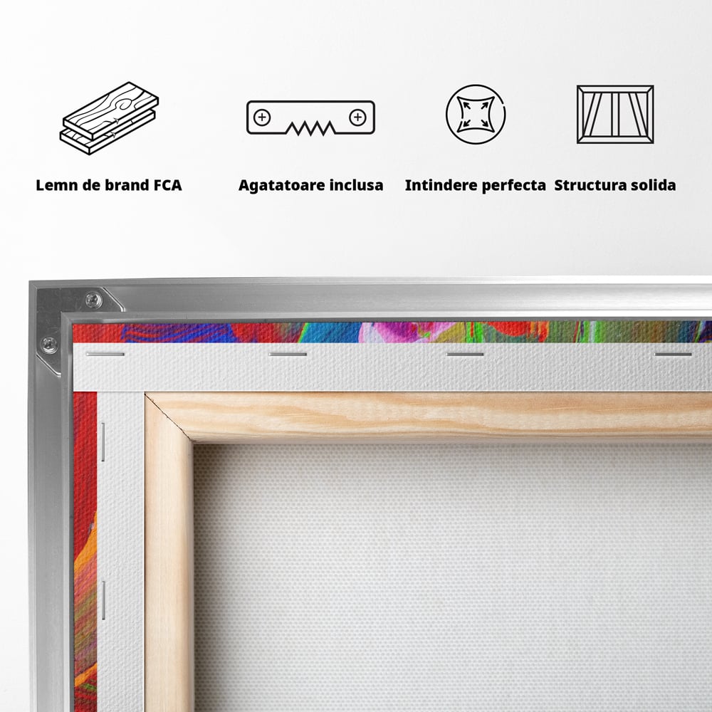 Tablou Canvas Premium LuxCanva® C1057, Abstract , Abstract, Camera Copilului, Living Room, Relaxare, Culori Vibrante