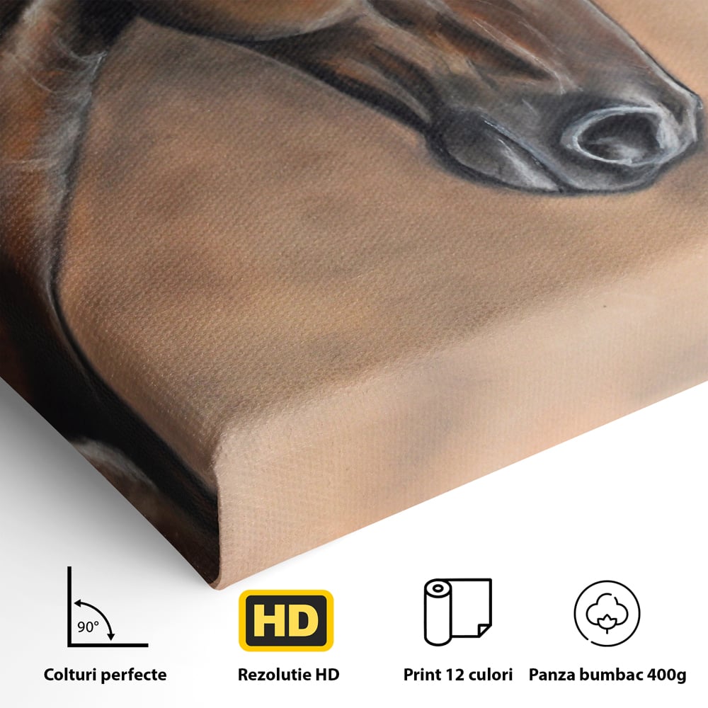 Tablou Canvas Premium LuxCanva® C1067, Portretul Unui Cal Pur Sange , Portret, Cal, Living Room, Office, Relaxare, Culori Vibrante