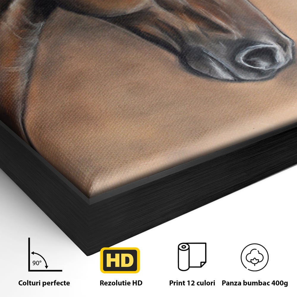 Tablou Canvas Premium LuxCanva® C1067, Portretul Unui Cal Pur Sange , Portret, Cal, Living Room, Office, Relaxare, Culori Vibrante