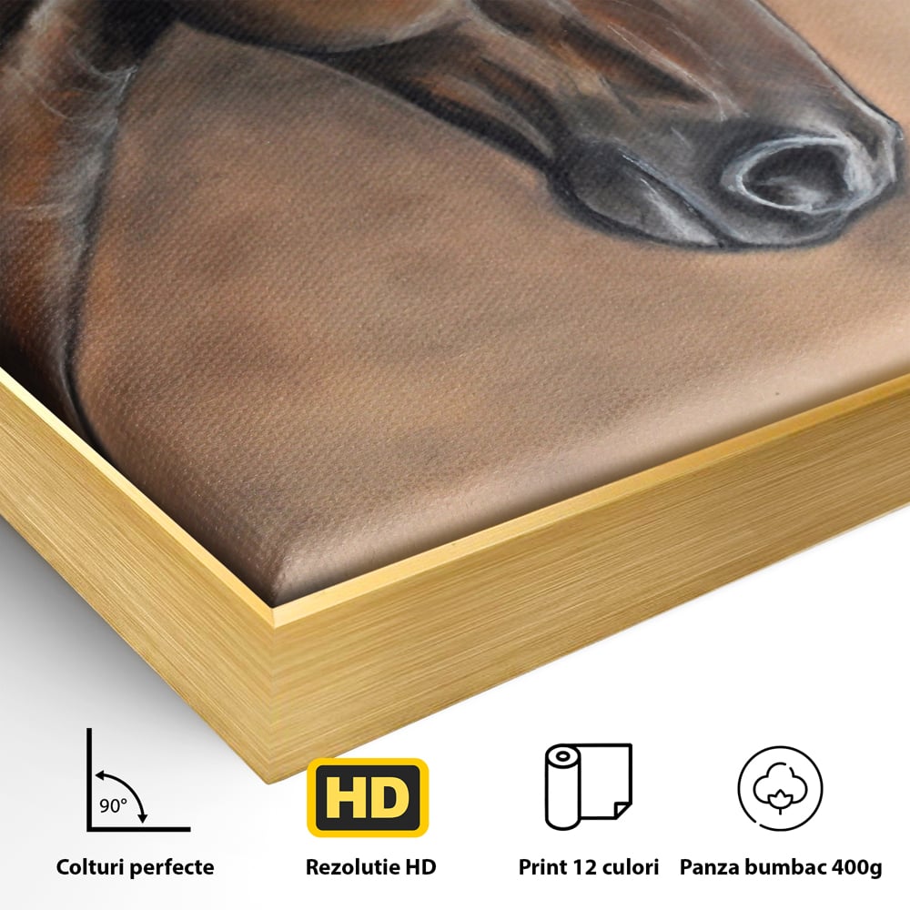 Tablou Canvas Premium LuxCanva® C1067, Portretul Unui Cal Pur Sange , Portret, Cal, Living Room, Office, Relaxare, Culori Vibrante