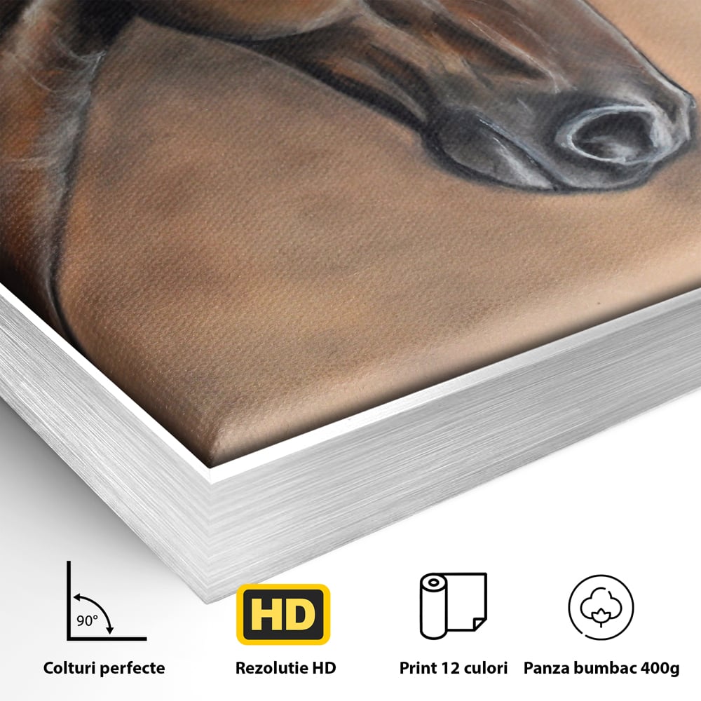 Tablou Canvas Premium LuxCanva® C1067, Portretul Unui Cal Pur Sange , Portret, Cal, Living Room, Office, Relaxare, Culori Vibrante