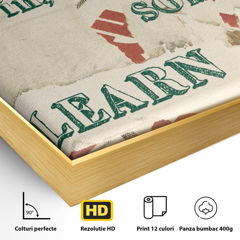 Tablou Canvas Premium LuxCanva® C1075, Mesaj Motivational , Mesaj, Motivatie, Living Room, Office, Relaxare, Culori Vibrante