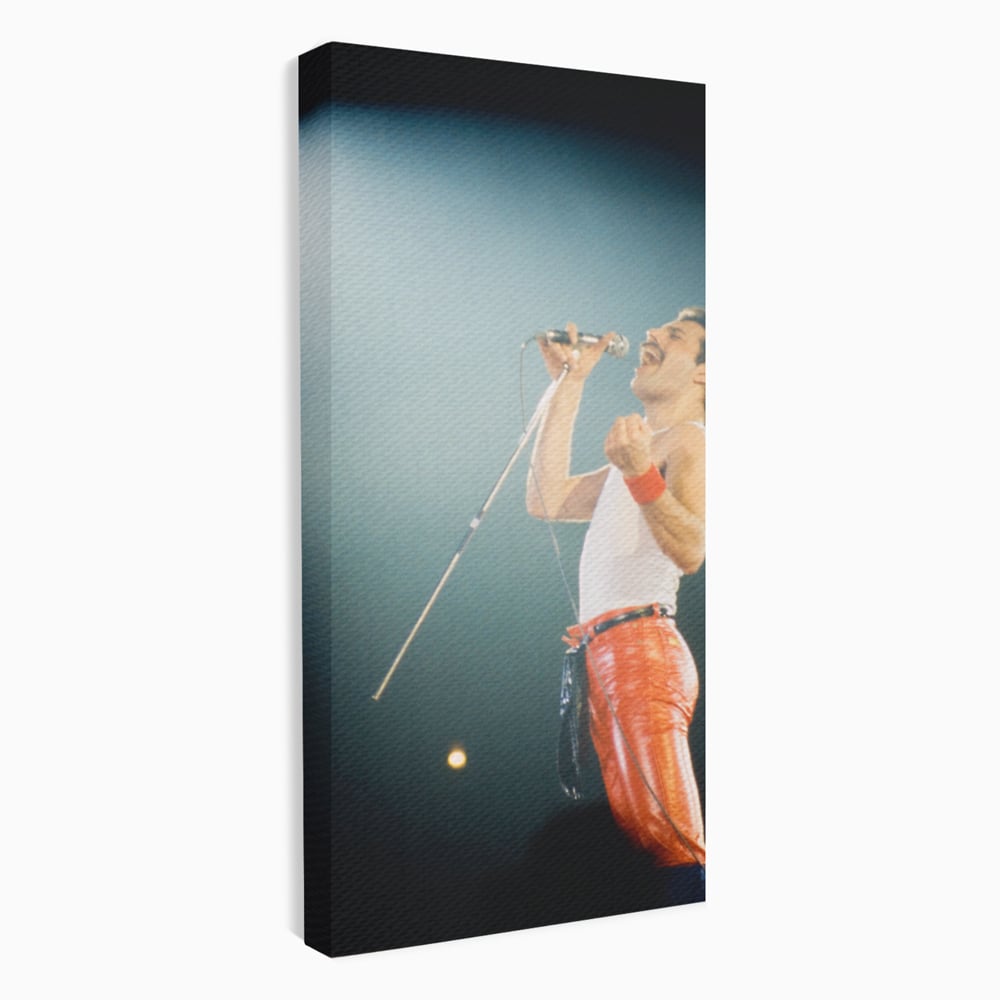Tablou Canvas Premium LuxCanva® C1076, Freddie Mercury , Cantaret, Legenda, Freddie, Living Room, Office, Relaxare, Culori Vibrante