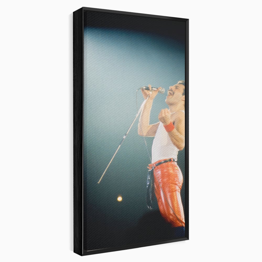 Tablou Canvas Premium LuxCanva® C1076, Freddie Mercury , Cantaret, Legenda, Freddie, Living Room, Office, Relaxare, Culori Vibrante