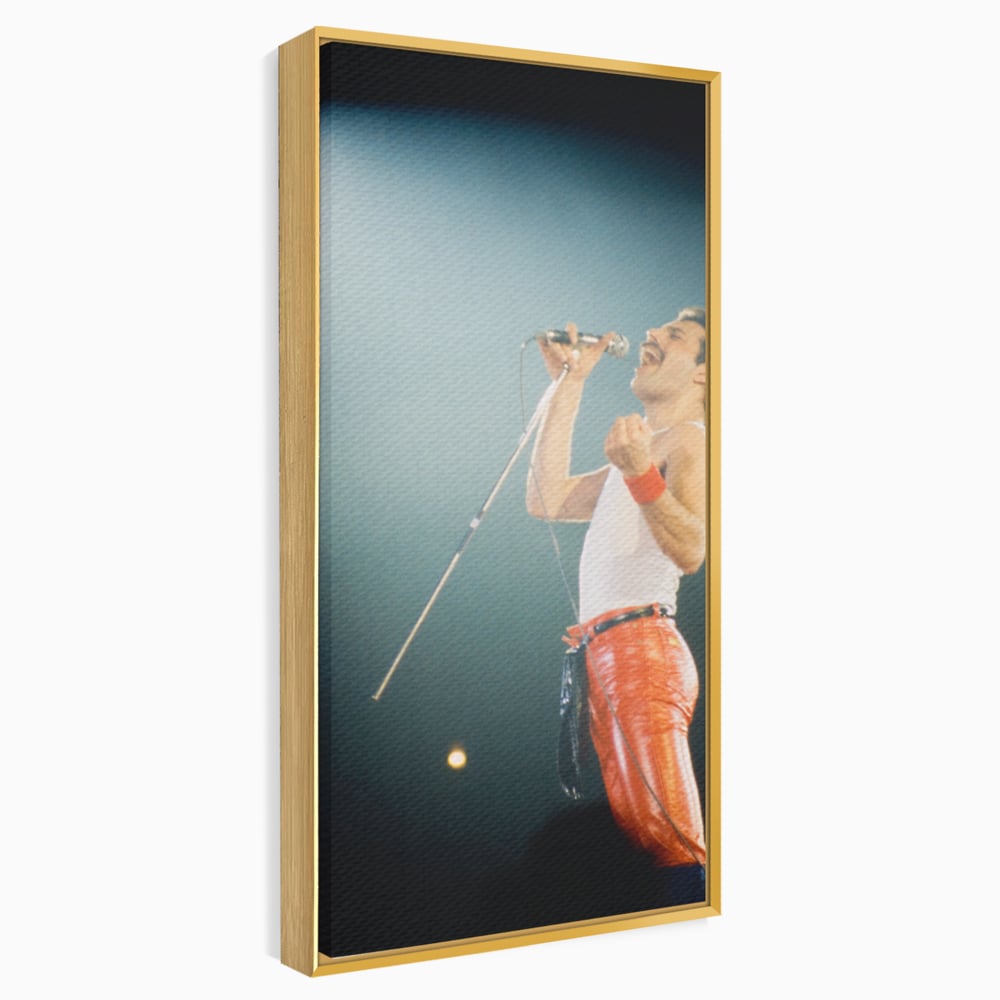 Tablou Canvas Premium LuxCanva® C1076, Freddie Mercury , Cantaret, Legenda, Freddie, Living Room, Office, Relaxare, Culori Vibrante