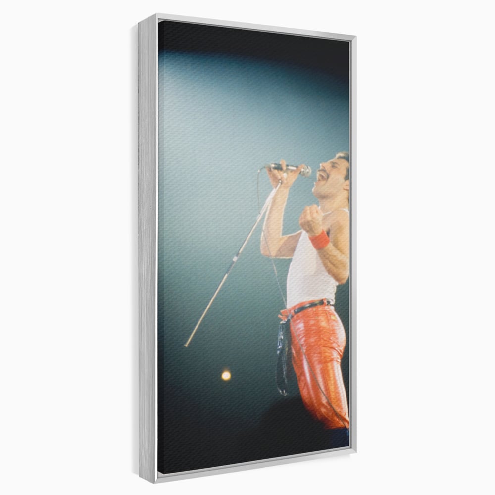 Tablou Canvas Premium LuxCanva® C1076, Freddie Mercury , Cantaret, Legenda, Freddie, Living Room, Office, Relaxare, Culori Vibrante