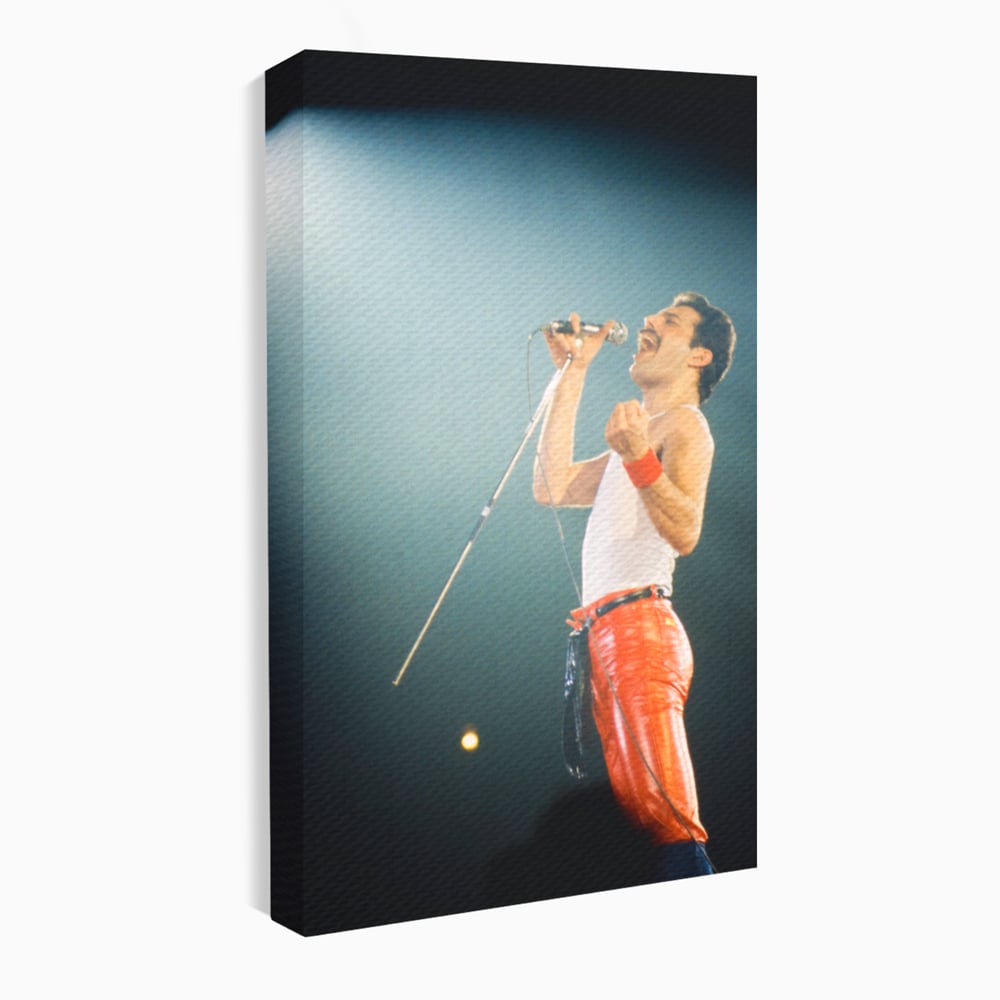 Tablou Canvas Premium LuxCanva® C1076, Freddie Mercury , Cantaret, Legenda, Freddie, Living Room, Office, Relaxare, Culori Vibrante