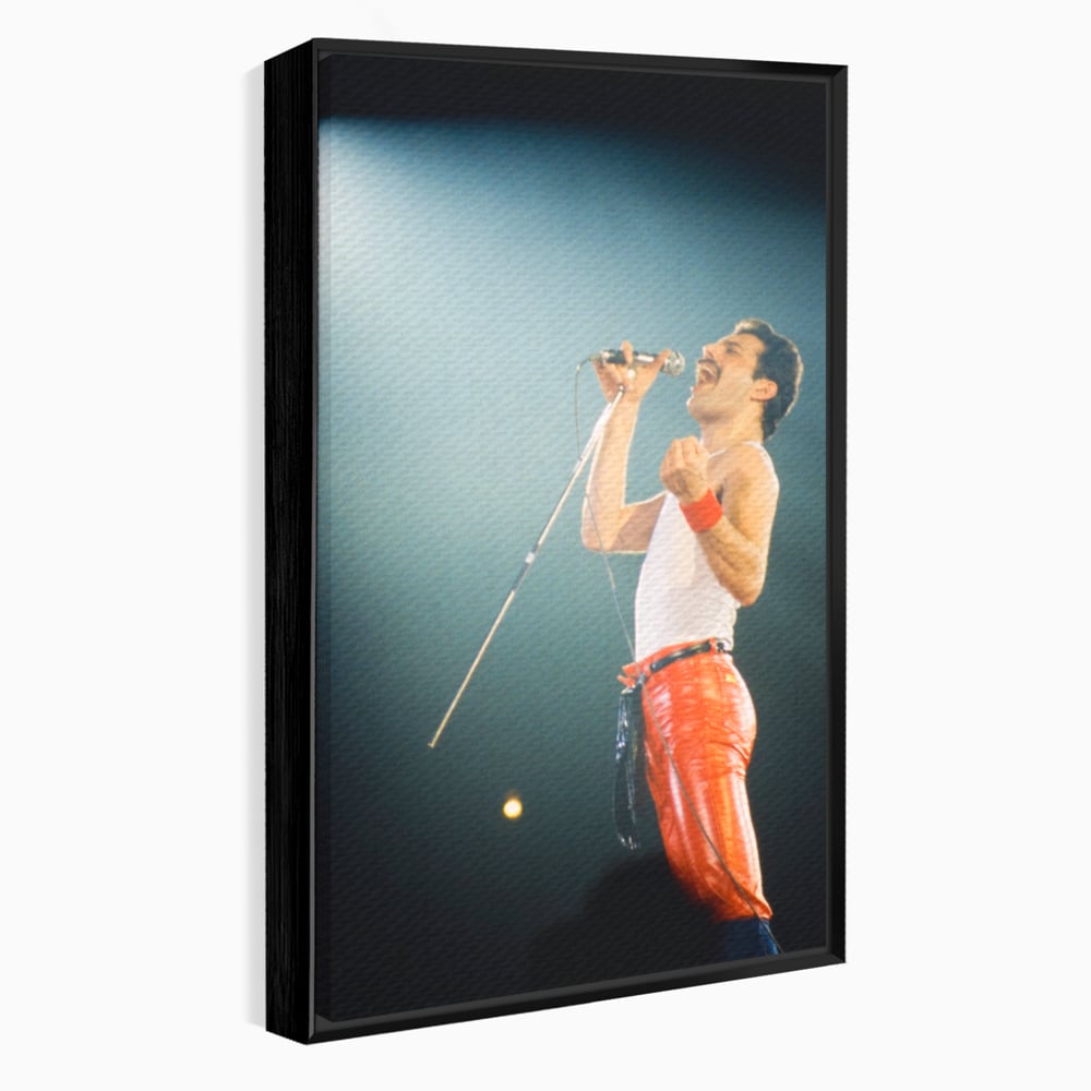 Tablou Canvas Premium LuxCanva® C1076, Freddie Mercury , Cantaret, Legenda, Freddie, Living Room, Office, Relaxare, Culori Vibrante