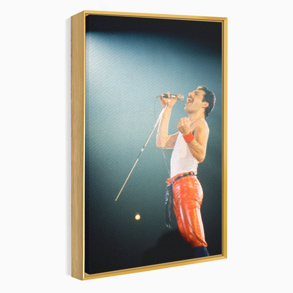 Tablou Canvas Premium LuxCanva® C1076, Freddie Mercury , Cantaret, Legenda, Freddie, Living Room, Office, Relaxare, Culori Vibrante