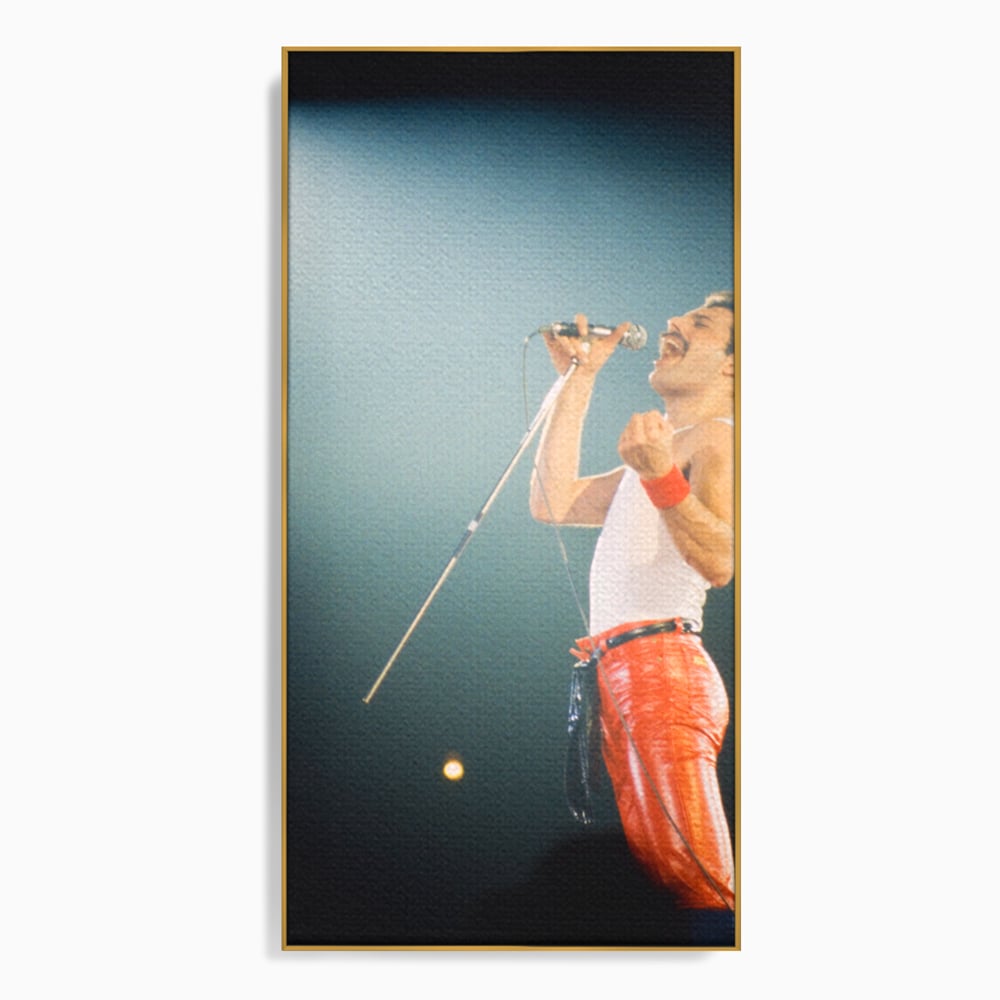 Tablou Canvas Premium LuxCanva® C1076, Freddie Mercury , Cantaret, Legenda, Freddie, Living Room, Office, Relaxare, Culori Vibrante
