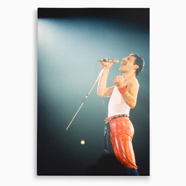 Tablou Canvas Premium LuxCanva® C1076, Freddie Mercury , Cantaret, Legenda, Freddie, Living Room, Office, Relaxare, Culori Vibrante