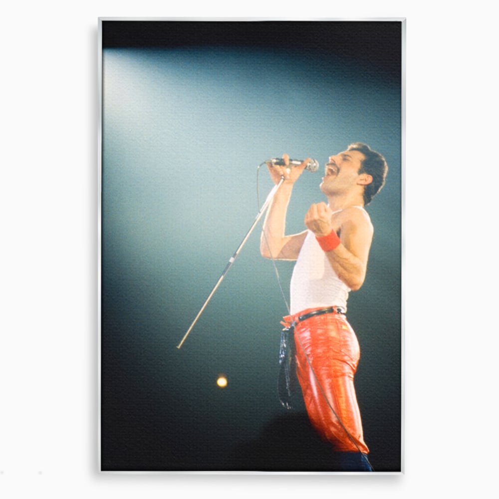 Tablou Canvas Premium LuxCanva® C1076, Freddie Mercury , Cantaret, Legenda, Freddie, Living Room, Office, Relaxare, Culori Vibrante