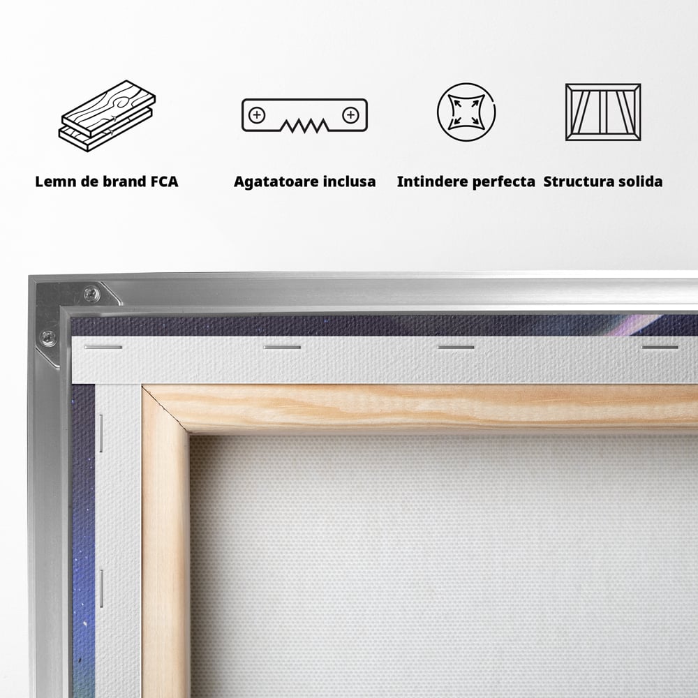 Tablou Canvas Premium LuxCanva® C1078, Stea Stralucitoare Pe Luna , Stea, Luna, Copii, Camera Copilului, Living Room, Relaxare, Culori Vibrante