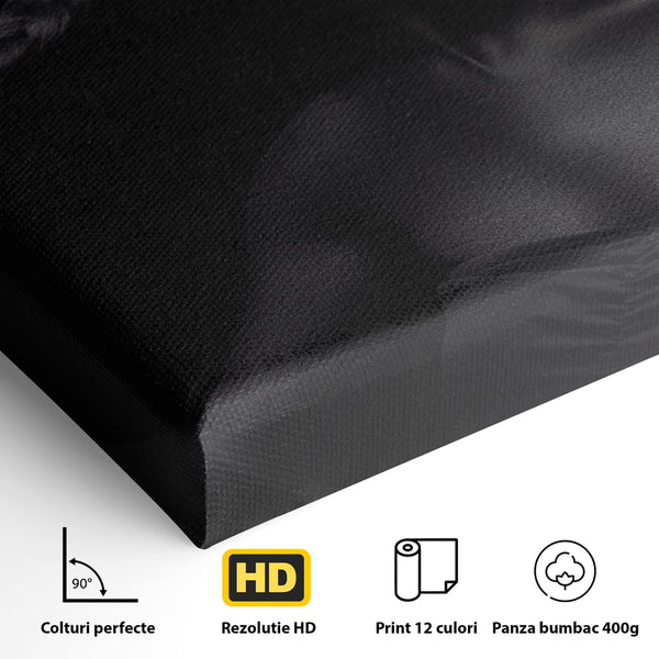 Tablou Canvas Premium LuxCanva® C1084, Frumusetea Femeii , Inspirational, Frumusete, Fata, Living Room, Bedroom, Relaxare, Culori Vibrante