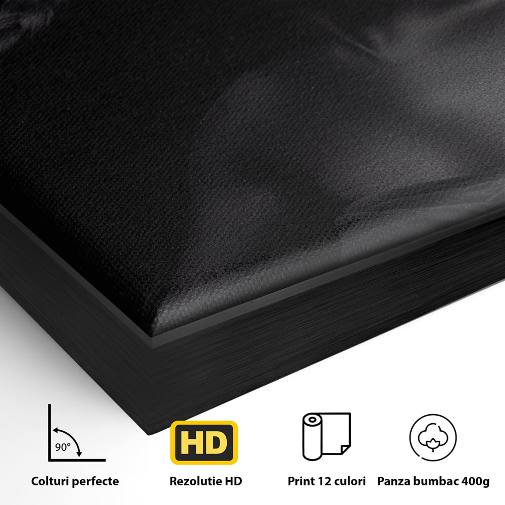 Tablou Canvas Premium LuxCanva® C1084, Frumusetea Femeii , Inspirational, Frumusete, Fata, Living Room, Bedroom, Relaxare, Culori Vibrante