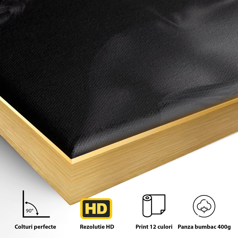 Tablou Canvas Premium LuxCanva® C1084, Frumusetea Femeii , Inspirational, Frumusete, Fata, Living Room, Bedroom, Relaxare, Culori Vibrante