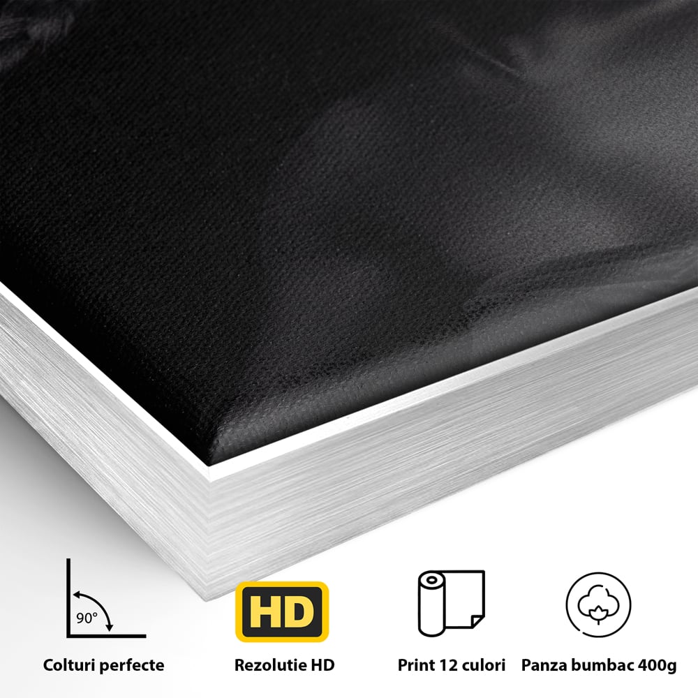Tablou Canvas Premium LuxCanva® C1084, Frumusetea Femeii , Inspirational, Frumusete, Fata, Living Room, Bedroom, Relaxare, Culori Vibrante