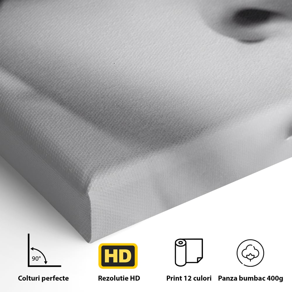 Tablou Canvas Premium LuxCanva® C1087, Privire Stralucitoare , Stralucitoare, Femeie, Privire, Living Room, Bedroom, Relaxare, Culori Vibrante