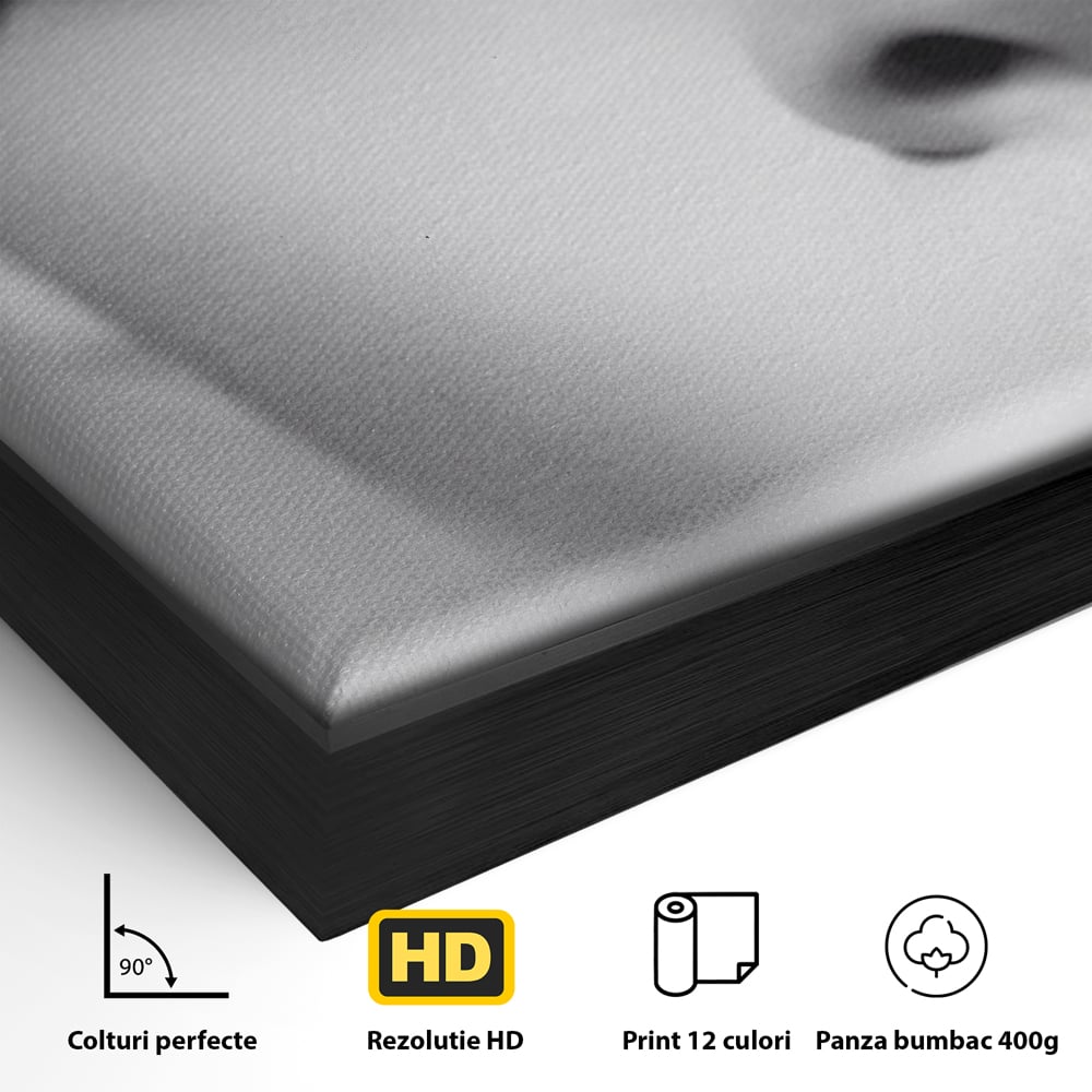 Tablou Canvas Premium LuxCanva® C1087, Privire Stralucitoare , Stralucitoare, Femeie, Privire, Living Room, Bedroom, Relaxare, Culori Vibrante