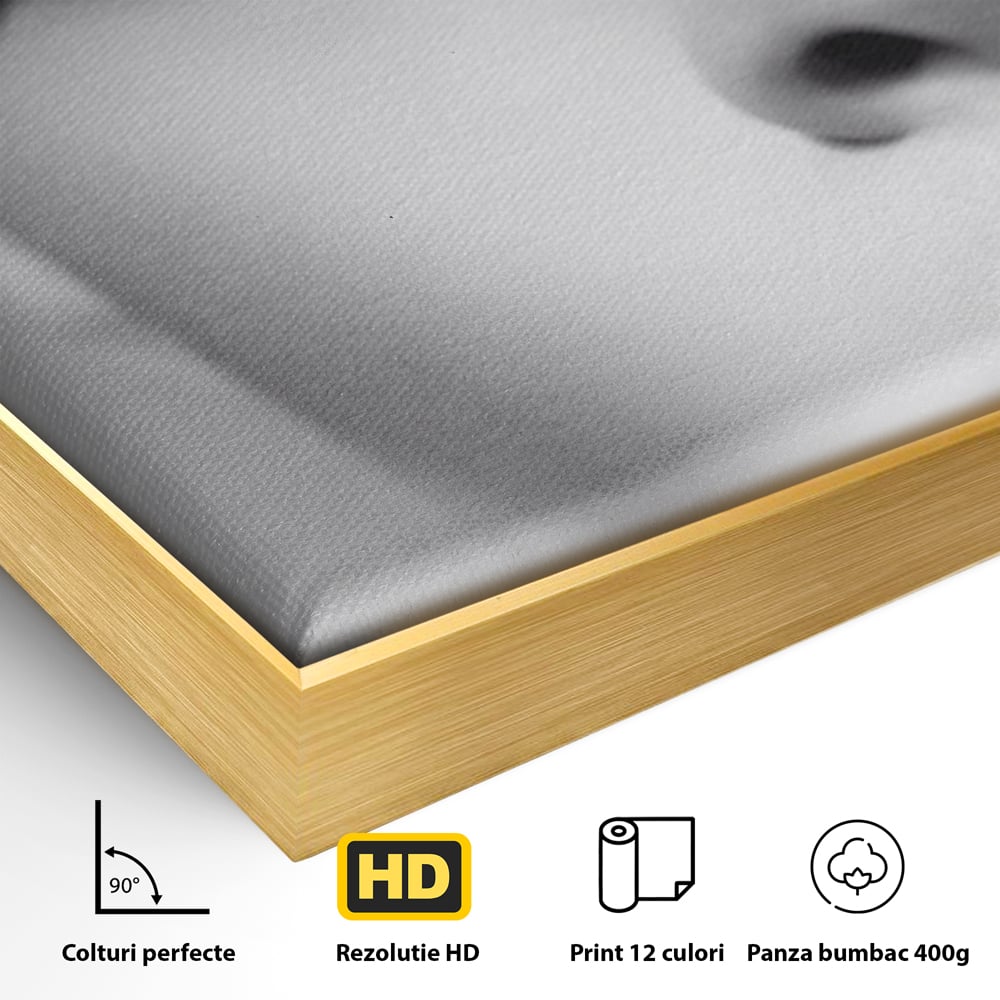 Tablou Canvas Premium LuxCanva® C1087, Privire Stralucitoare , Stralucitoare, Femeie, Privire, Living Room, Bedroom, Relaxare, Culori Vibrante