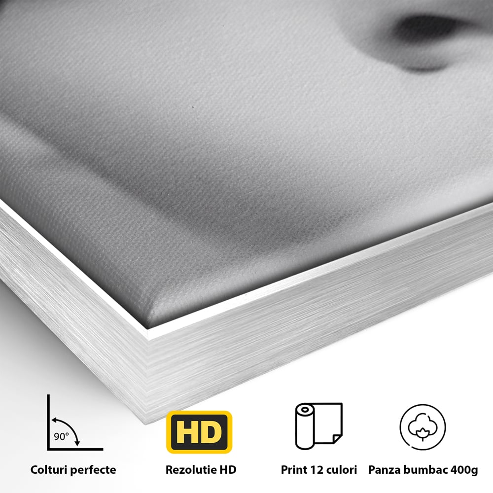 Tablou Canvas Premium LuxCanva® C1087, Privire Stralucitoare , Stralucitoare, Femeie, Privire, Living Room, Bedroom, Relaxare, Culori Vibrante