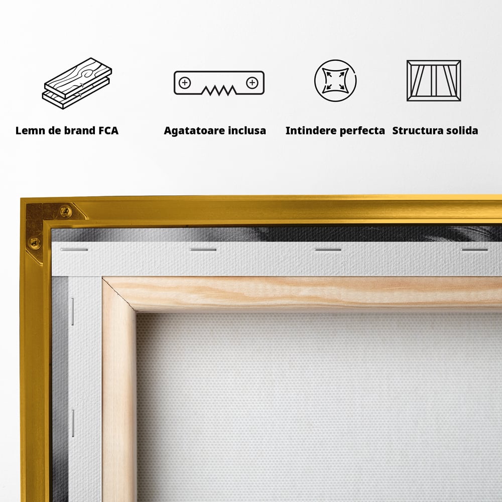Tablou Canvas Premium LuxCanva® C1087, Privire Stralucitoare , Stralucitoare, Femeie, Privire, Living Room, Bedroom, Relaxare, Culori Vibrante