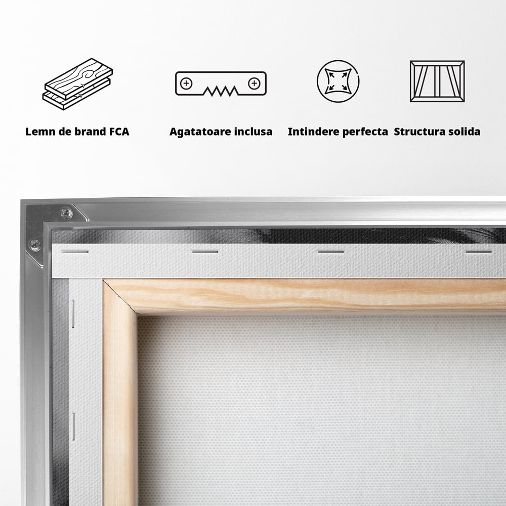 Tablou Canvas Premium LuxCanva® C1087, Privire Stralucitoare , Stralucitoare, Femeie, Privire, Living Room, Bedroom, Relaxare, Culori Vibrante