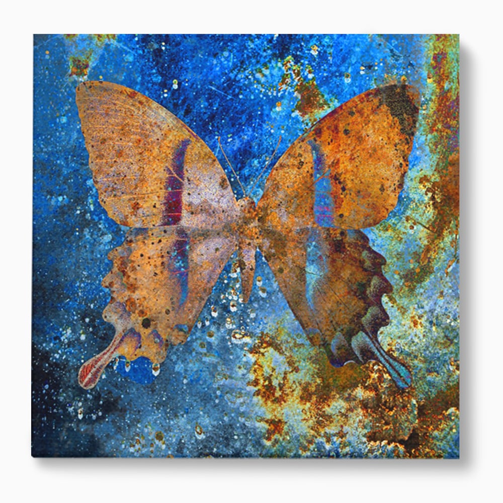 Tablou Canvas Premium LuxCanva® C1094, Cosmic Butterlfly , Fluture, Cosmos, Stele, Living Room, Bedroom, Relaxare, Culori Vibrante