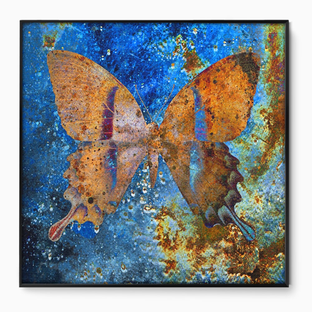 Tablou Canvas Premium LuxCanva® C1094, Cosmic Butterlfly , Fluture, Cosmos, Stele, Living Room, Bedroom, Relaxare, Culori Vibrante