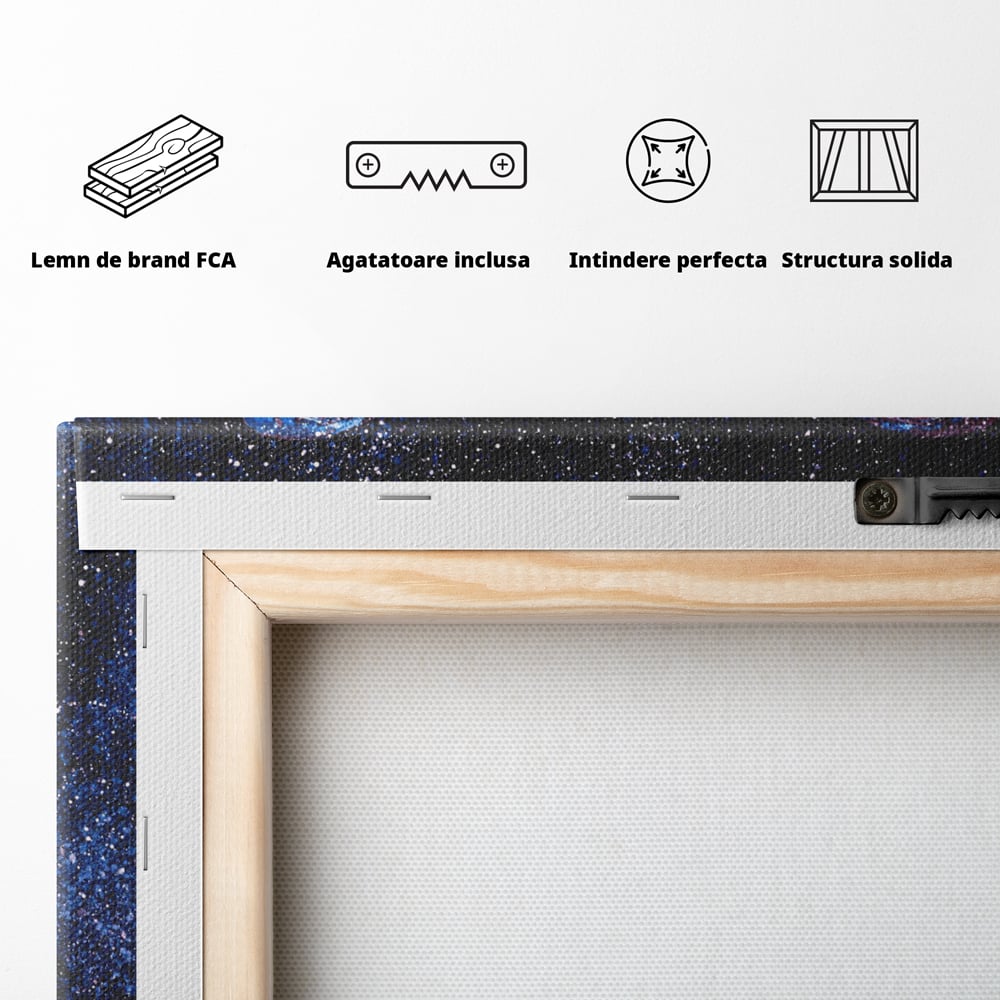 Tablou Canvas Premium LuxCanva® C1099, Fluture Stralucitor , Lumini, Fluture, Living Room, Office, Relaxare, Culori Vibrante