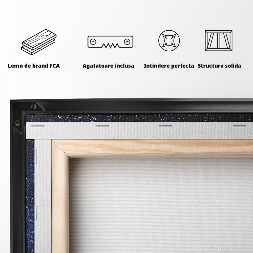 Tablou Canvas Premium LuxCanva® C1099, Fluture Stralucitor , Lumini, Fluture, Living Room, Office, Relaxare, Culori Vibrante