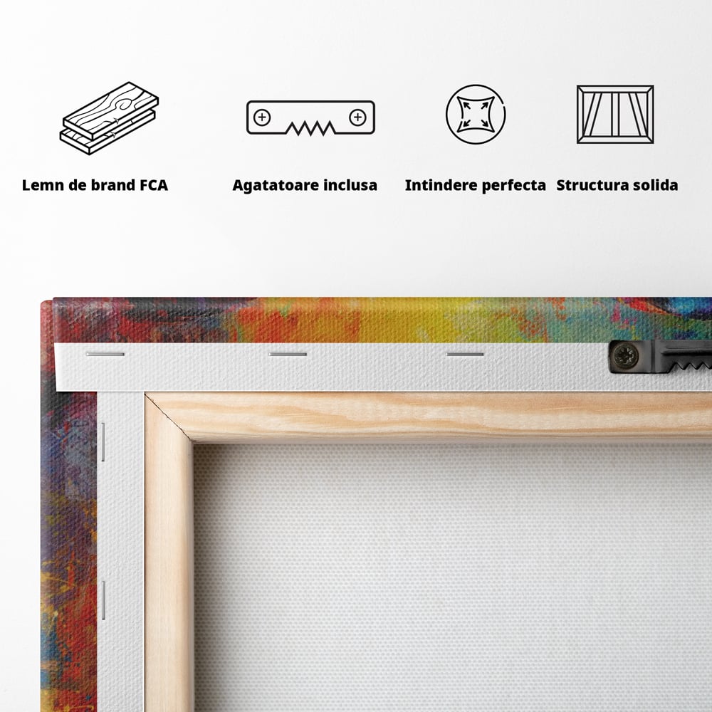 Leinwandbilder Premium LuxCanva® C1101, Bunter Schmetterling , Farben, Schmetterling, Wohnzimmer, Schlafzimmer, Entspannend, Lebendige Farben