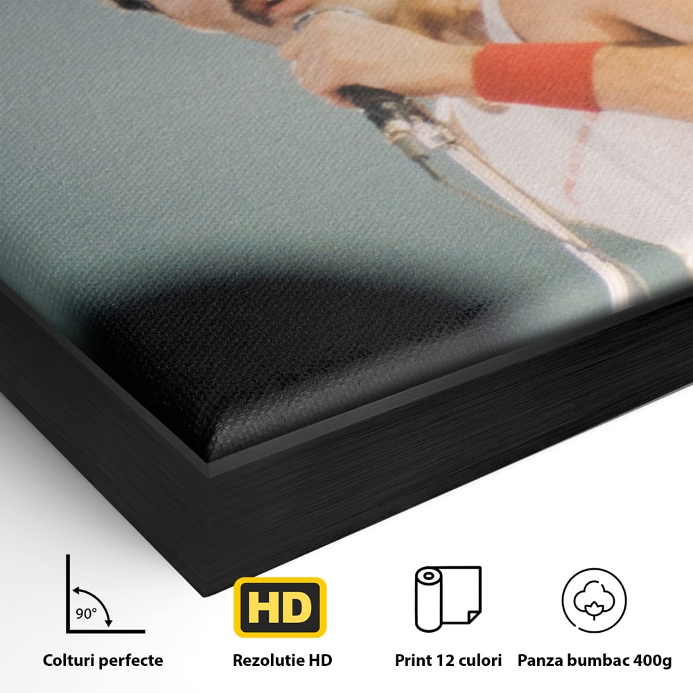 Tablou Canvas Premium LuxCanva® C1102, The King Freddie ,  Culori, Fluture, Living Room, Bar, Relaxare, Culori Vibrante