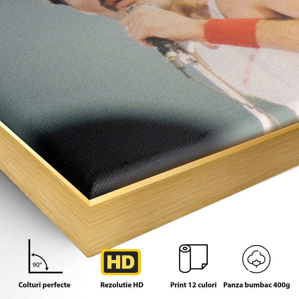 Tablou Canvas Premium LuxCanva® C1102, The King Freddie ,  Culori, Fluture, Living Room, Bar, Relaxare, Culori Vibrante