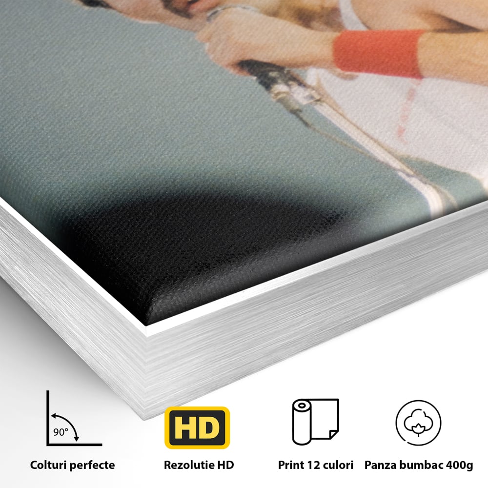 Tablou Canvas Premium LuxCanva® C1102, The King Freddie ,  Culori, Fluture, Living Room, Bar, Relaxare, Culori Vibrante