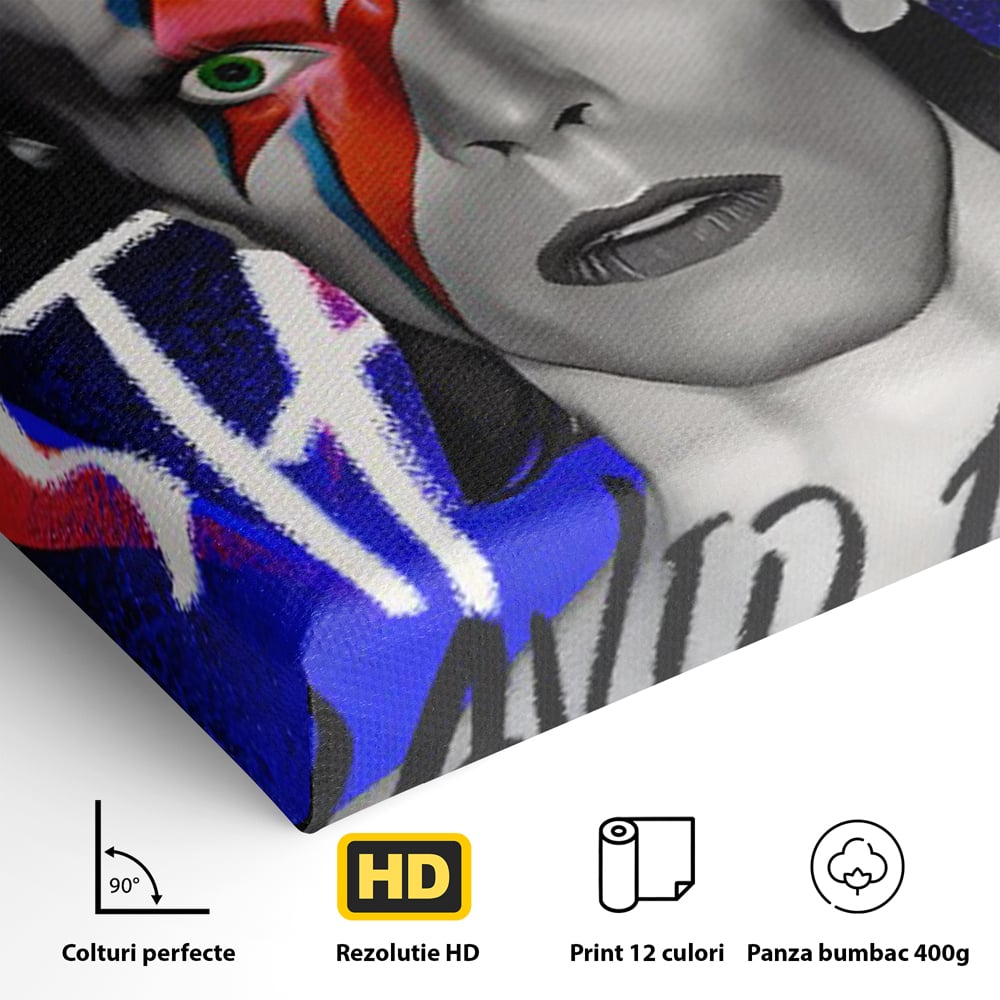 Tablou Canvas Premium LuxCanva® C1107, Portrait Of David Bowie , Culori, Artist, Singer, Game Room, Bar, Relaxare, Culori Vibrante