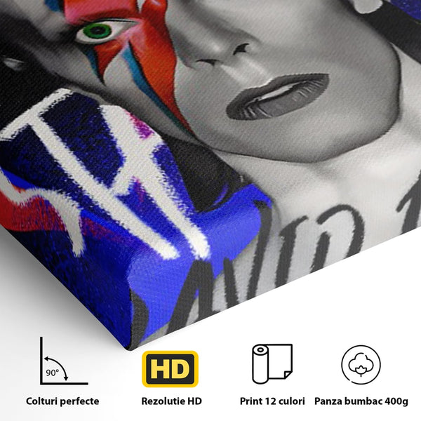 Tablou Canvas Premium LuxCanva® C1107, Portrait Of David Bowie , Culori, Artist, Singer, Game Room, Bar, Relaxare, Culori Vibrante