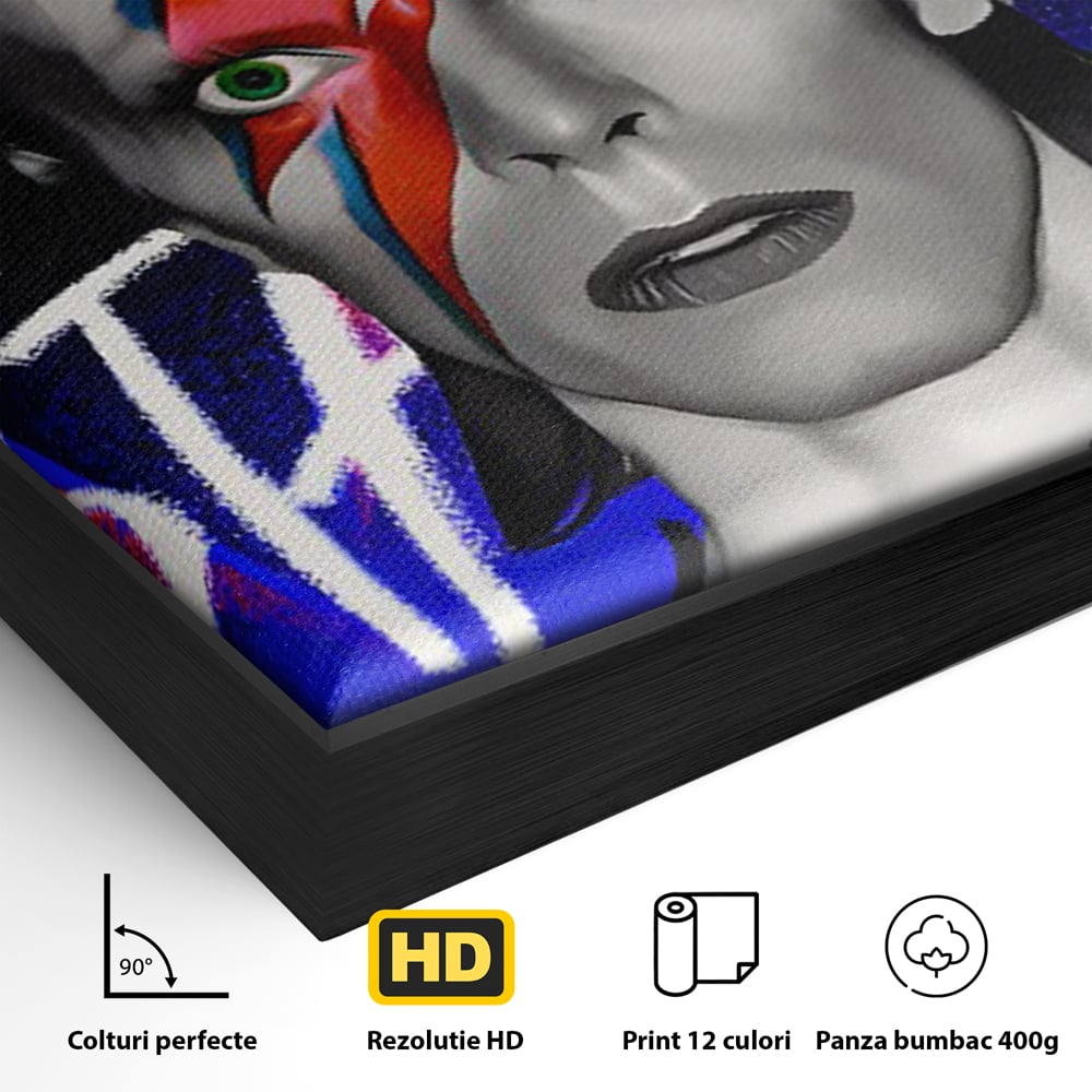 Tablou Canvas Premium LuxCanva® C1107, Portrait Of David Bowie , Culori, Artist, Singer, Game Room, Bar, Relaxare, Culori Vibrante