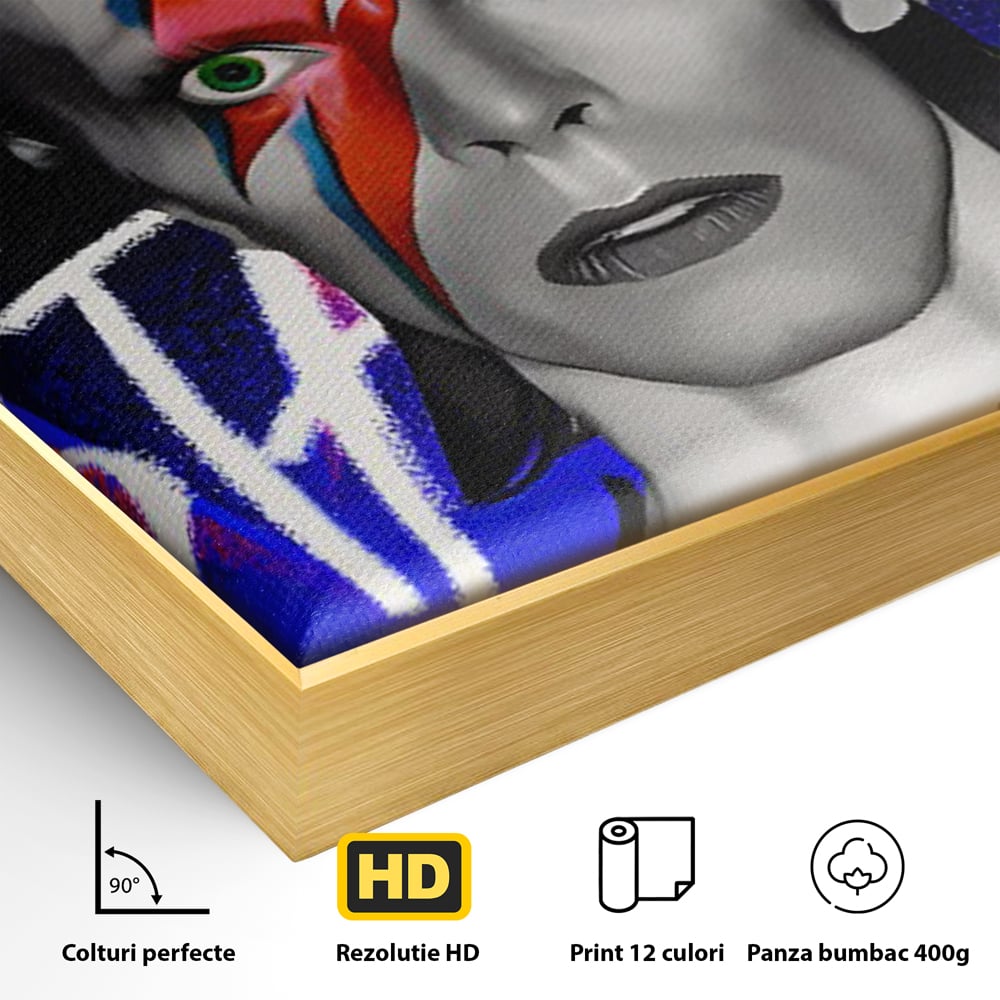 Tablou Canvas Premium LuxCanva® C1107, Portrait Of David Bowie , Culori, Artist, Singer, Game Room, Bar, Relaxare, Culori Vibrante