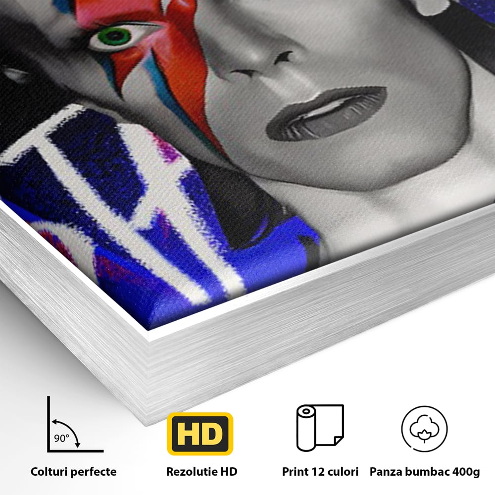 Tablou Canvas Premium LuxCanva® C1107, Portrait Of David Bowie , Culori, Artist, Singer, Game Room, Bar, Relaxare, Culori Vibrante