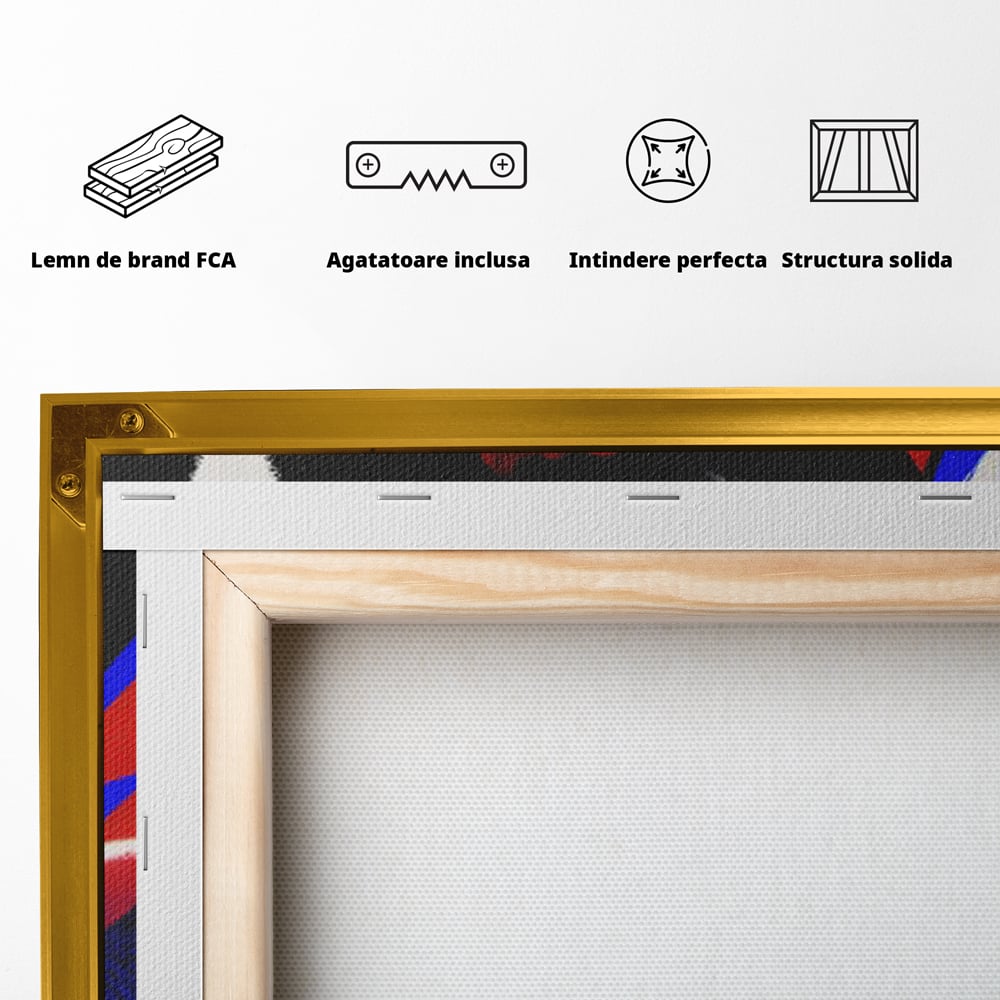 Tablou Canvas Premium LuxCanva® C1107, Portrait Of David Bowie , Culori, Artist, Singer, Game Room, Bar, Relaxare, Culori Vibrante