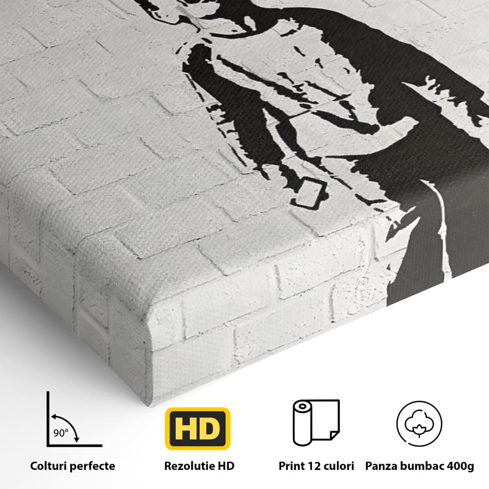 Tablou Canvas Premium LuxCanva® C1110, Social Media Addiction , Copil, Zambet, Game Room, Bar, Relaxare, Culori Vibrante